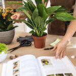 mężczyzna w trakcie czytania o najczęstszych błędach w uprawie roślin doniczkowych