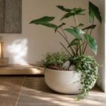 wygenerowane przez AI - Naturalna kompozycja roślin doniczkowych w ceramicznej donicy z kamieniami i korą