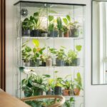 wygenerowane przez AI - Roślinny regał typu greenhouse cabinet IKEA z oświetleniem LED i tropikalnymi roślinami