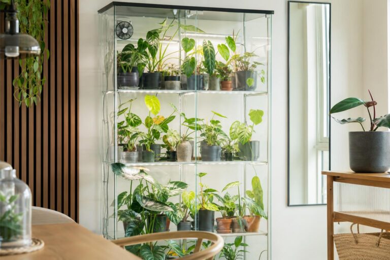 wygenerowane przez AI - Roślinny regał typu greenhouse cabinet IKEA z oświetleniem LED i tropikalnymi roślinami
